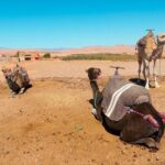 a day in the High Atlas and discovery of Berber culture - Camel Ride and Additional Activities