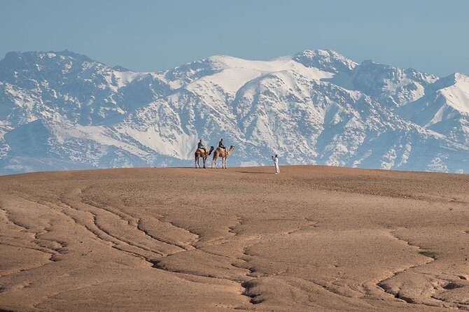 A Day of Desert Discovery: Lunch, Quad & Camel Ride in Agafay - The Details That Matter
