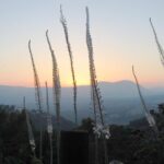 A Day of Spiritual Discovery in the Upper Galilee - Practical Details and What to Expect