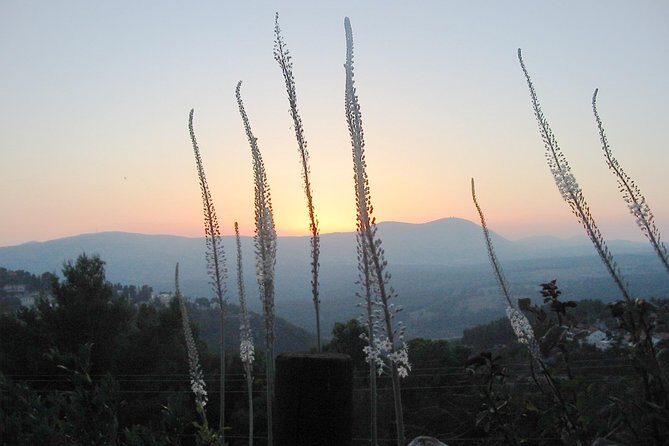 A Day of Spiritual Discovery in the Upper Galilee - Practical Details and What to Expect