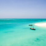 A Half Day Private Dolphins And Snorkeling Tour To Mnemba Island - Practical Aspects and Considerations