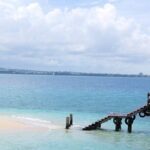 A Half Day Private Prison Island Tour - What Travelers Are Saying