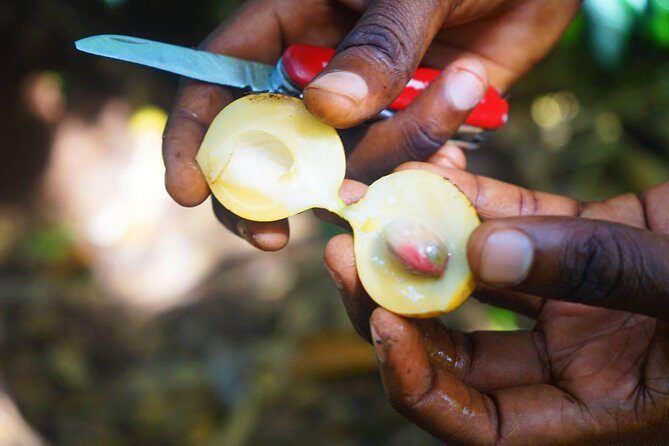 A Half Day Private Tour To Spice Farm - Who Will Love This Tour?