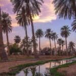 A tour in Al Ahsa the largest Oasis in the world - Who Will Love This Tour?