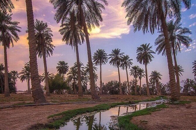 A tour in Al Ahsa the largest Oasis in the world - Who Will Love This Tour?