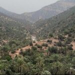 A Tour to Paradise Valley - Practical Tips for Future Travelers