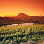 A Visit To Stellenbosch Franschoek Paarl Wineries From Cape Town Full Day - What to Expect in Terms of Logistics