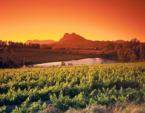 A Visit To Stellenbosch Franschoek Paarl Wineries From Cape Town Full Day - What to Expect in Terms of Logistics