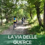 Abruzzo L'Aquila: e-bike tour in the shade of centuries-old oak trees - What You Can Expect From the Tour