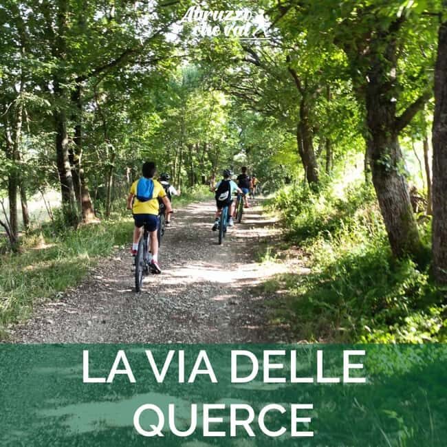 Abruzzo L'Aquila: e-bike tour in the shade of centuries-old oak trees - What You Can Expect From the Tour