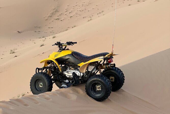 Abu Dhabi: 4-Hour Morning Safari with Camel Ride & Sand boarding - Transportation & Group Size