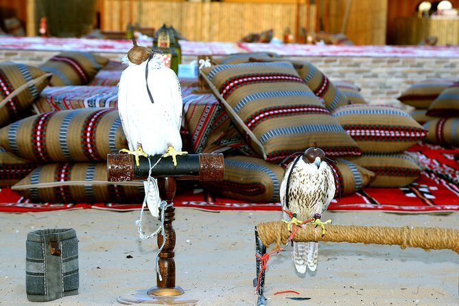 Abu Dhabi Afternoon Desert Safari and BBQ Dinner - Who Should Book This Tour?