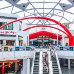 Abu Dhabi Day Tour With Ferrari Visit and Return Transfers to Dubai - An In-Depth Look at the Abu Dhabi Day Tour