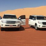 Abu Dhabi Desert Safari with BBQ Dinner & Shows - What to Expect From the Tour