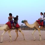Abu Dhabi Evening Desert Safari with BBQ Dinner and all Camp Activities - Transportation, Duration, and Group Size
