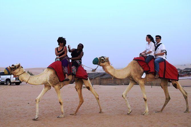 Abu Dhabi Evening Desert Safari with BBQ Dinner and all Camp Activities - Transportation, Duration, and Group Size