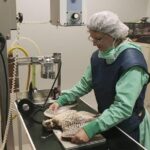 Abu Dhabi Falcon Hospital Tour - Who Is This Tour Perfect For?