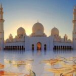 Abu Dhabi Full Day Sightseeing Tour From Dubai - Recognizing the Limitations