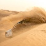 Abu Dhabi Morning Desert Safari - The Itinerary in Detail