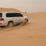 Abu Dhabi morning desert safari - Private car - Who Will Love This Tour?