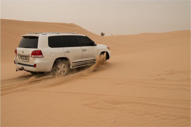 Abu Dhabi morning desert safari - Private car - Who Will Love This Tour?