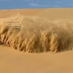 Abu Dhabi Morning Desert Safari with Camel Ride - Key Points