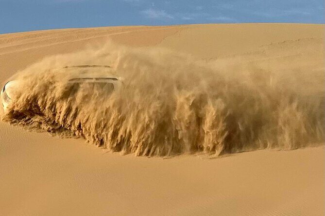 Abu Dhabi Morning Desert Safari with Camel Ride - Key Points