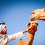 Abu Dhabi: Morning Desert Safari with Camels and Sandboarding - Why This Tour Offers Great Value