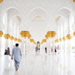 Abu Dhabi Mosque and Louvre Museum with Lunch from Dubai - The Louvre Abu Dhabi: A Cultural Jewel
