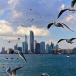 Abu Dhabi Private Full Day City Tour From Dubai - Practical Details and Tips
