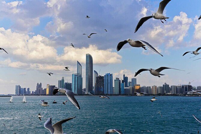 Abu Dhabi Private Full Day City Tour From Dubai - Practical Details and Tips