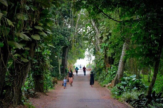Aburi Botanic Gardens and Boti Falls Full-Day Private Tour - An In-Depth Look at the Tour Itinerary