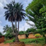 Aburi Botanic Gardens, Boti Falls,Umbrella Rock & Cocoa Farm Tour - Final Thoughts: Is This Tour Right for You?