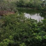 Accra Zoo, Canopy Walk and Botanical Gardens Private Tour - What the Tour Includes and Why It Matters