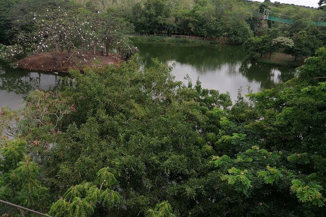 Accra Zoo, Canopy Walk and Botanical Gardens Private Tour - What the Tour Includes and Why It Matters