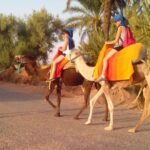Activities in Marrakech: Camel ride tour - Practical Details and Logistics