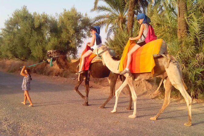 Activities in Marrakech: Camel ride tour - Practical Details and Logistics