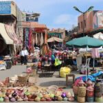 Activity: Half Day Guide Sightseeing City Tour of Marrakech - Transportation and Comfort