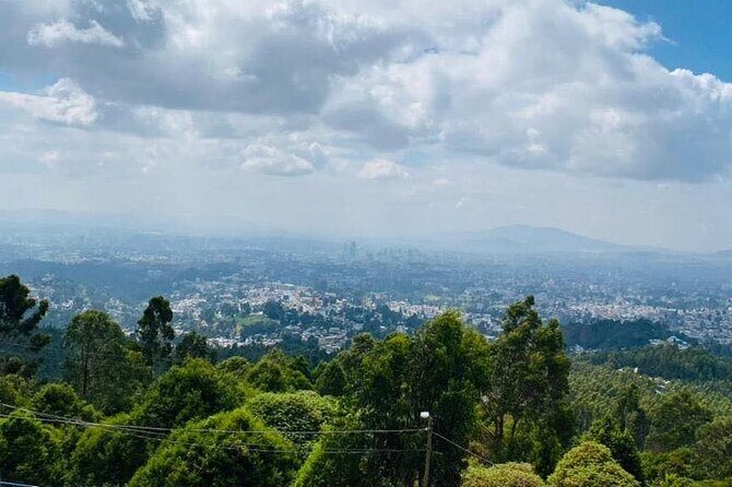 Addis Ababa Full Day City Tour - 2. National Museum of Ethiopia and Ethnographic Museum
