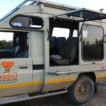 Addo Elephant 5 hour Morning Safari. - What to Expect from the Experience