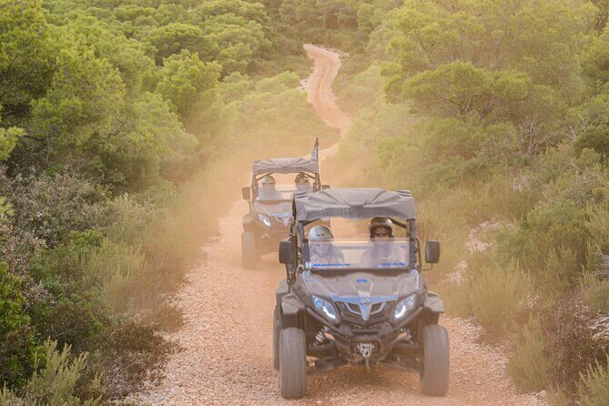 Adrenaline Quad Safari Tour - What’s Included and What to Consider