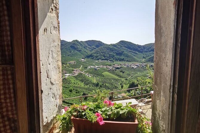 Adventure in the Prosecco Hills by Yellowboot - Why This Tour Offers Great Value