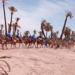 Adventure Quad Biks & Camel Ride - FAQ