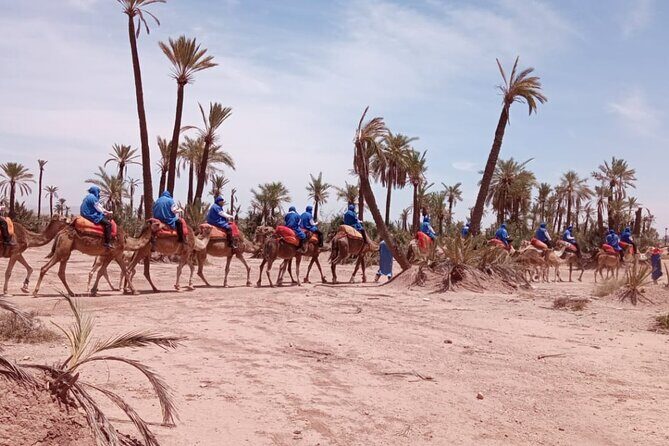 Adventure Quad Biks & Camel Ride - FAQ