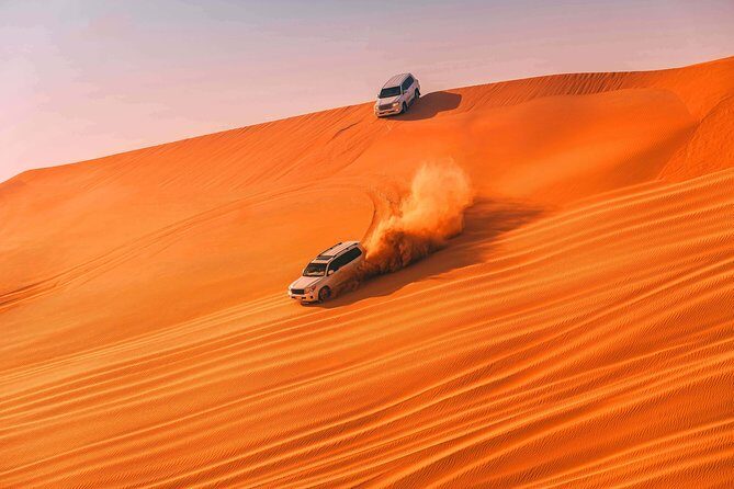 Adventurous Desert Safari With BBQ Dinner in Dubai - Practical Tips for Making the Most of Your Desert Safari