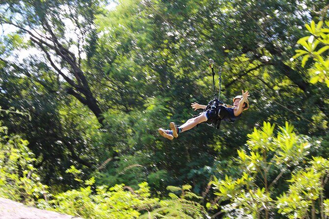 Aerial Cable Trail in Hazyview - Who Will Love the Aerial Cable Trail?