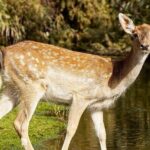 Africano Park Alexandria Safari From Cairo - What Does the Itinerary Look Like?