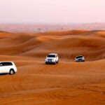 Afternoon Desert Safari with BBQ Dinner - Practical Details and What to Expect