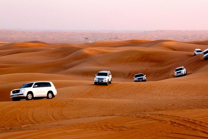 Afternoon Desert Safari with BBQ Dinner - Practical Details and What to Expect