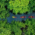 Afternoon Guided Kayak Tour on the Tamarin River - Value for Money and Practical Details